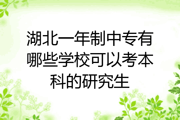 湖北一年制中专有哪些学校可以考本科的研究生