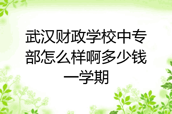 武汉财政学校中专部怎么样啊多少钱一学期