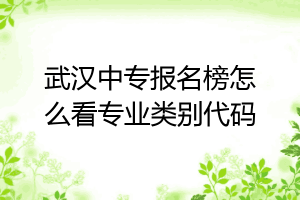 武汉中专报名榜怎么看专业类别代码
