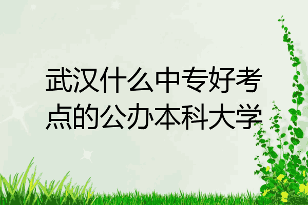 武汉什么中专好考点的公办本科大学