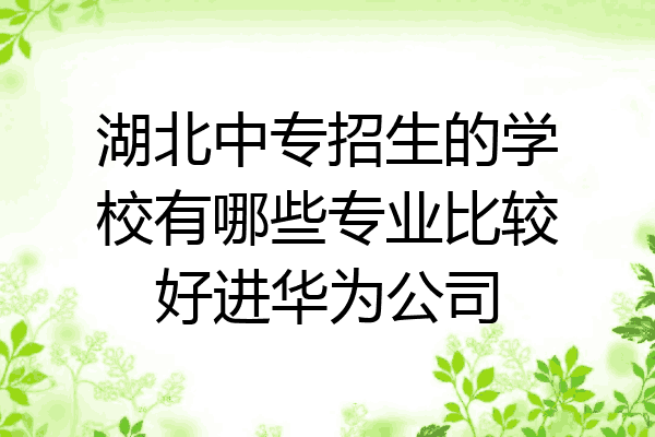 湖北中专招生的学校有哪些专业比较好进华为公司