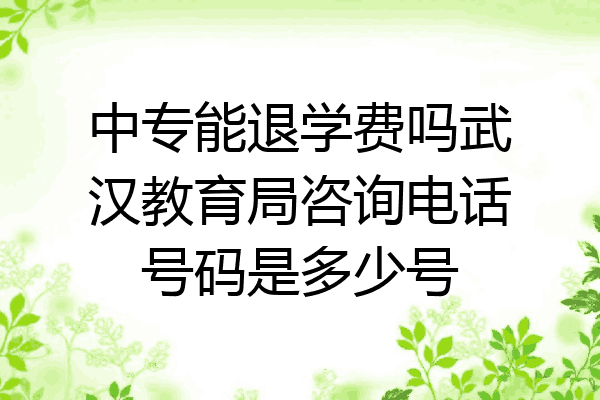 中专能退学费吗武汉教育局咨询电话号码是多少号