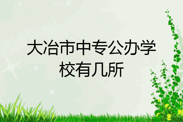 大冶市中专公办学校有几所
