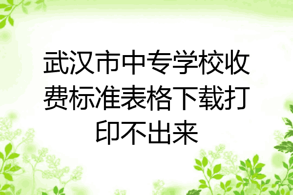 武汉市中专学校收费标准表格下载打印不出来