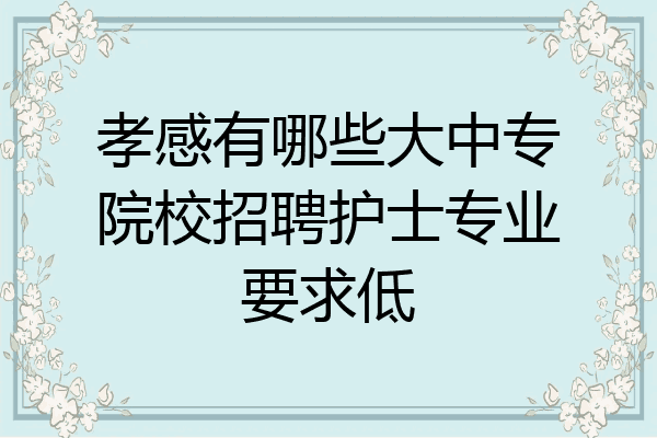 孝感有哪些大中专院校招聘护士专业要求低