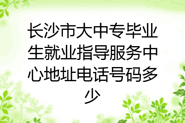 长沙市大中专毕业生就业指导服务中心地址电话号码多少