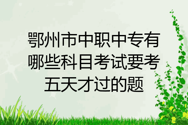 鄂州市中职中专有哪些科目考试要考五天才过的题