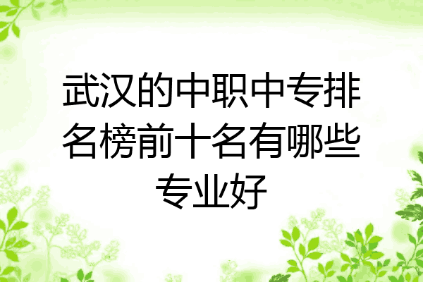 武汉的中职中专排名榜前十名有哪些专业好