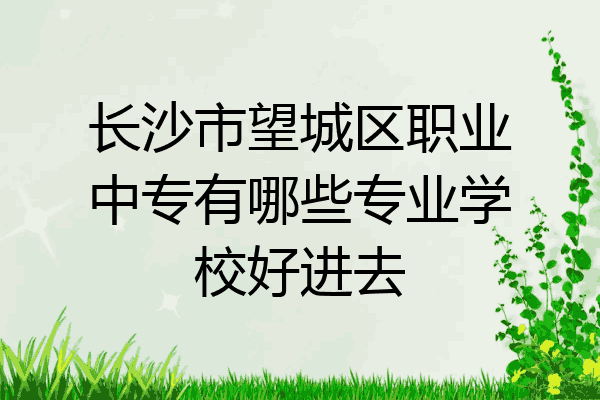 长沙市望城区职业中专有哪些专业学校好进去