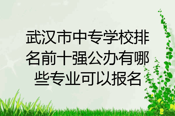 武汉市中专学校排名前十强公办有哪些专业可以报名