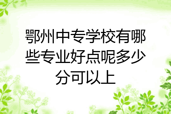 鄂州中专学校有哪些专业好点呢多少分可以上