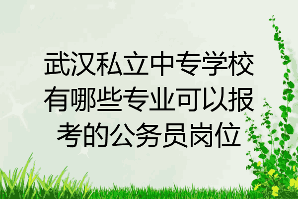 武汉私立中专学校有哪些专业可以报考的公务员岗位