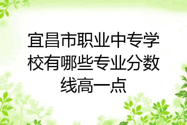 宜昌市职业中专学校有哪些专业分数线高一点