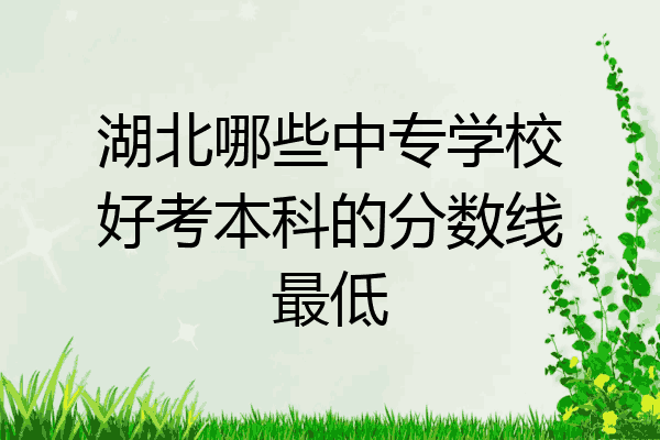 湖北哪些中专学校好考本科的分数线最低