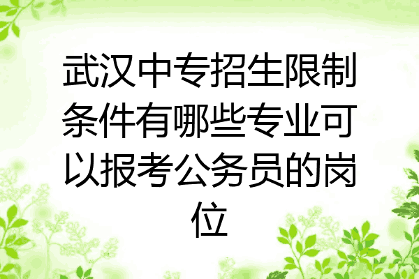 武汉中专招生限制条件有哪些专业可以报考公务员的岗位