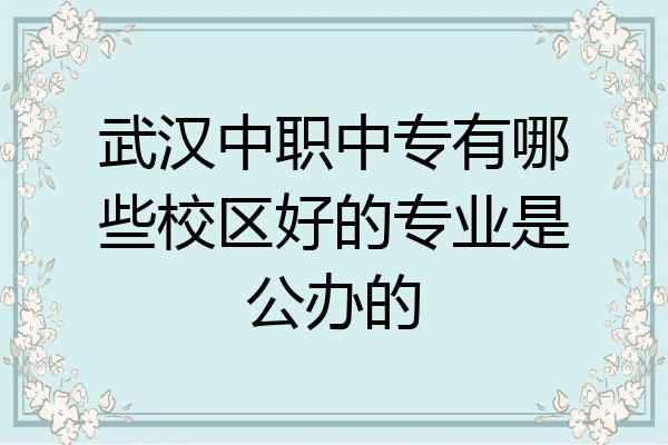 武汉中职中专有哪些校区好的专业是公办的