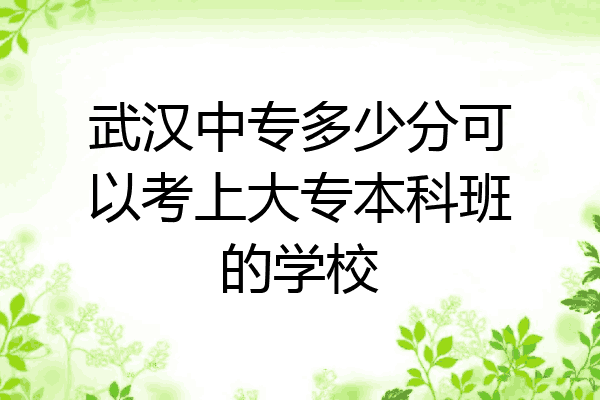 武汉中专多少分可以考上大专本科班的学校
