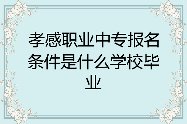 孝感职业中专报名条件是什么学校毕业