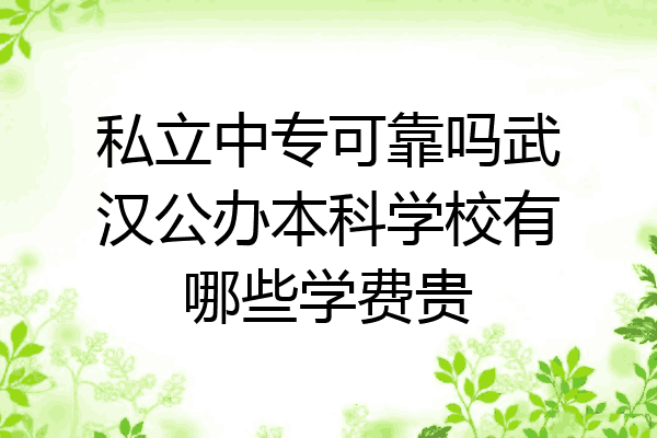 私立中专可靠吗武汉公办本科学校有哪些学费贵