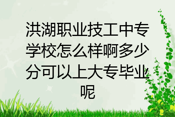 洪湖职业技工中专学校怎么样啊多少分可以上大专毕业呢