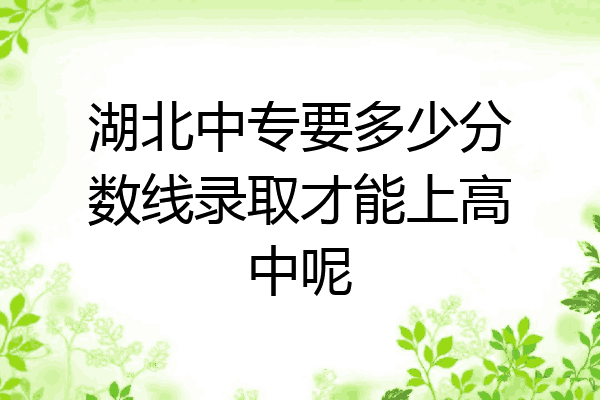 湖北中专要多少分数线录取才能上高中呢