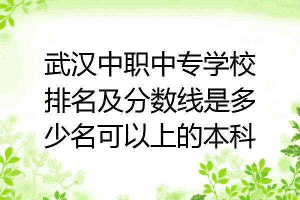 武汉中职中专学校排名及分数线是多少名可以上的本科