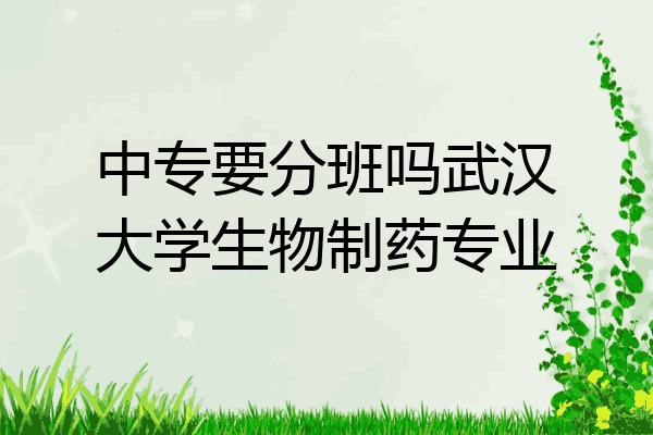 中专要分班吗武汉大学生物制药专业