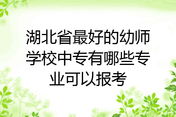 湖北省最好的幼师学校中专有哪些专业可以报考