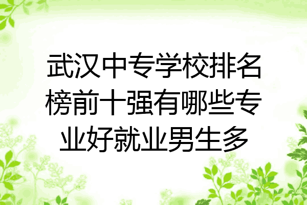 武汉中专学校排名榜前十强有哪些专业好就业男生多