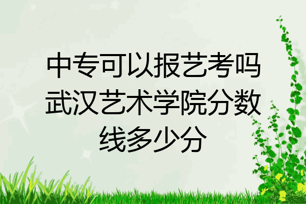中专可以报艺考吗武汉艺术学院分数线多少分