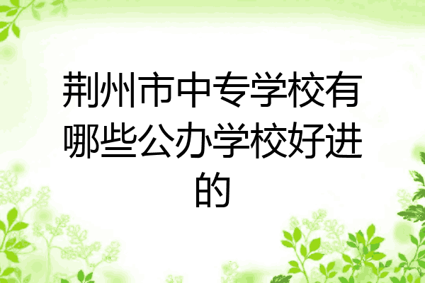 荆州市中专学校有哪些公办学校好进的