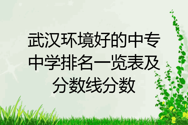 武汉环境好的中专中学排名一览表及分数线分数