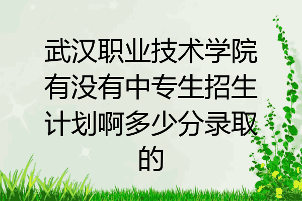 武汉职业技术学院有没有中专生招生计划啊多少分录取的