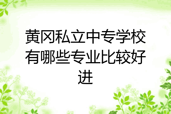 黄冈私立中专学校有哪些专业比较好进