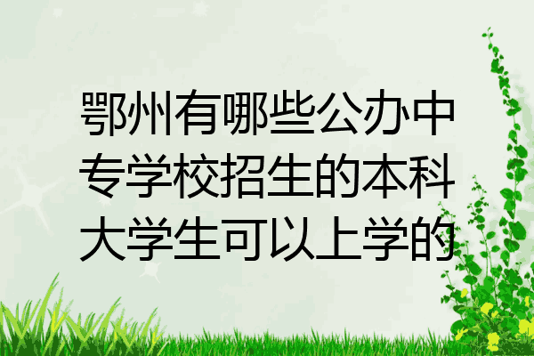 鄂州有哪些公办中专学校招生的本科大学生可以上学的