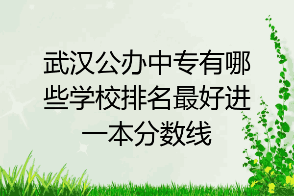 武汉公办中专有哪些学校排名最好进一本分数线