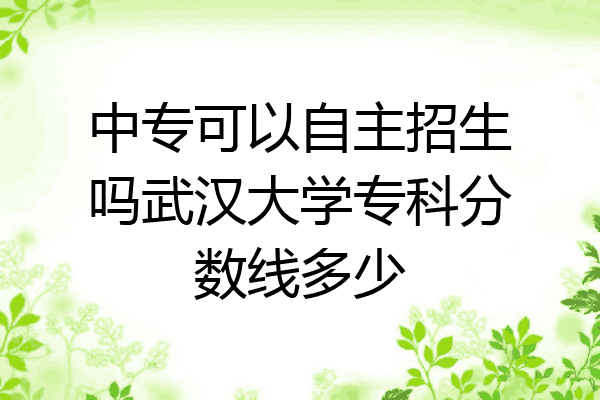 中专可以自主招生吗武汉大学专科分数线多少