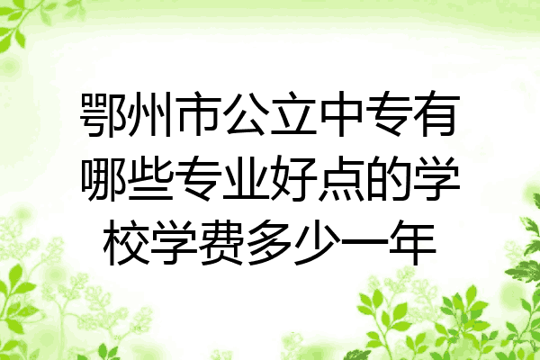 鄂州市公立中专有哪些专业好点的学校学费多少一年