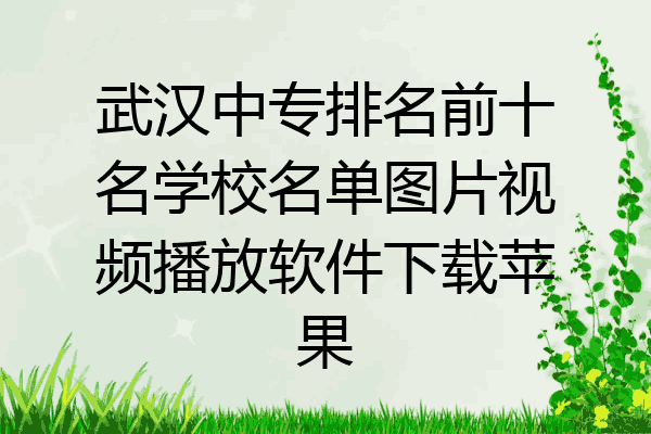 武汉中专排名前十名学校名单图片视频播放软件下载苹果