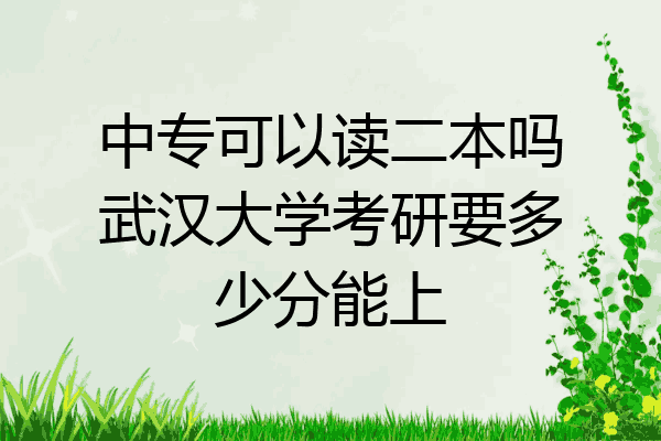 中专可以读二本吗武汉大学考研要多少分能上