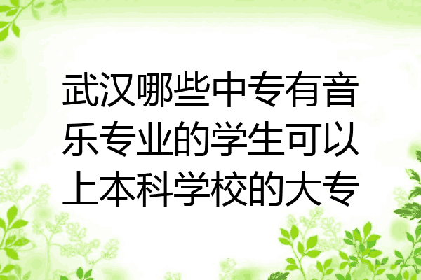 武汉哪些中专有音乐专业的学生可以上本科学校的大专