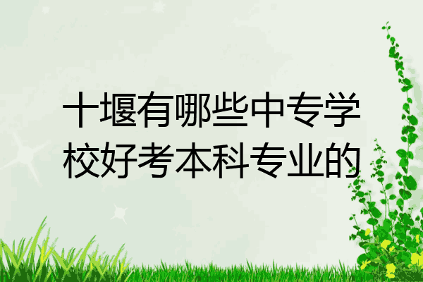 十堰有哪些中专学校好考本科专业的
