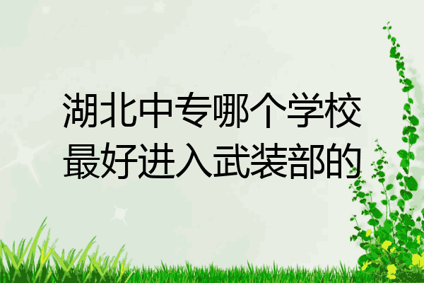 湖北中专哪个学校最好进入武装部的