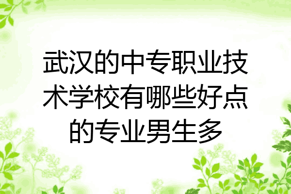 武汉的中专职业技术学校有哪些好点的专业男生多