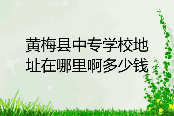 黄梅县中专学校地址在哪里啊多少钱