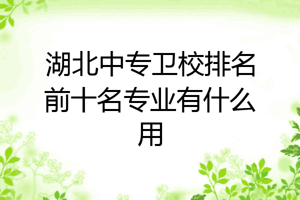 湖北中专卫校排名前十名专业有什么用