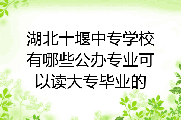 湖北十堰中专学校有哪些公办专业可以读大专毕业的