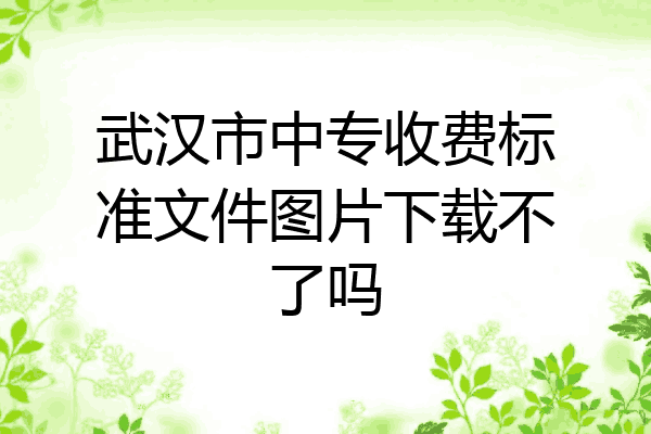 武汉市中专收费标准文件图片下载不了吗