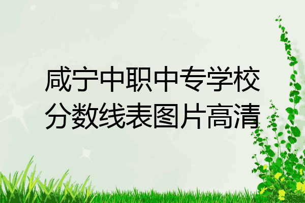 咸宁中职中专学校分数线表图片高清