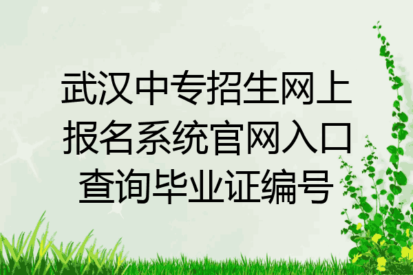 武汉中专招生网上报名系统官网入口查询毕业证编号